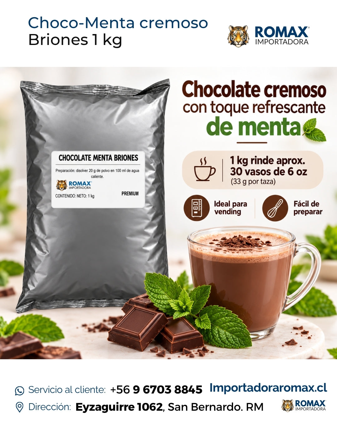 Chocolate Menta Soluble Briones 1 kg para vending y preparación en taza | Importadora Romax