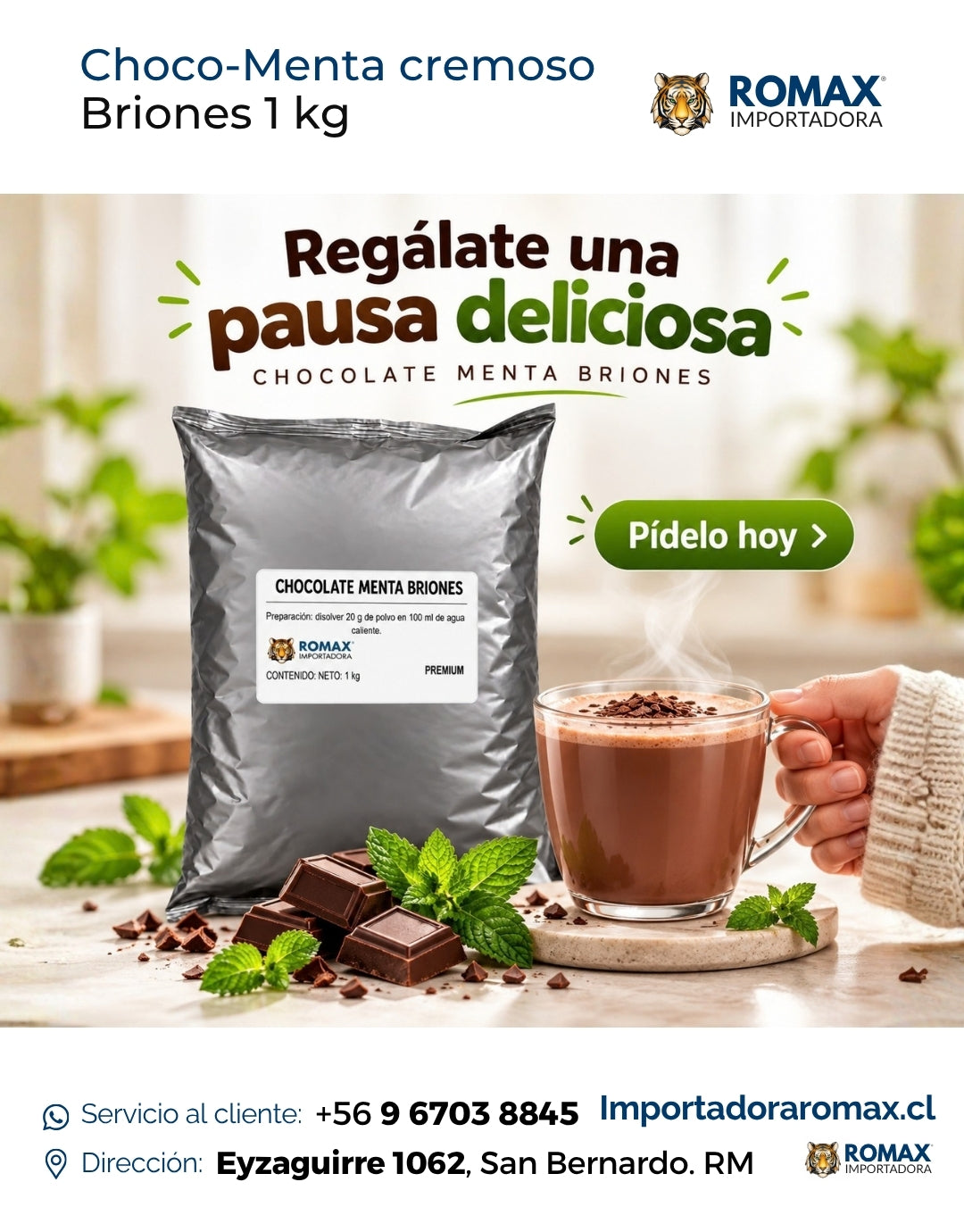 Chocolate Menta Soluble Briones 1 kg bebida soluble para negocio y hogar | Importadora Romax