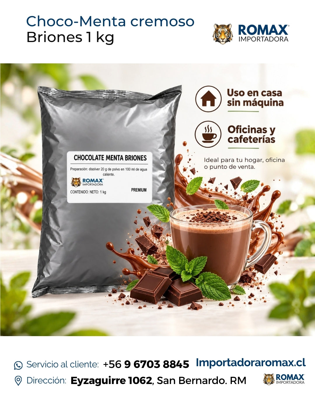 Chocolate Menta Soluble Briones 1 kg soluble 1 kg para máquinas vending | Importadora Romax