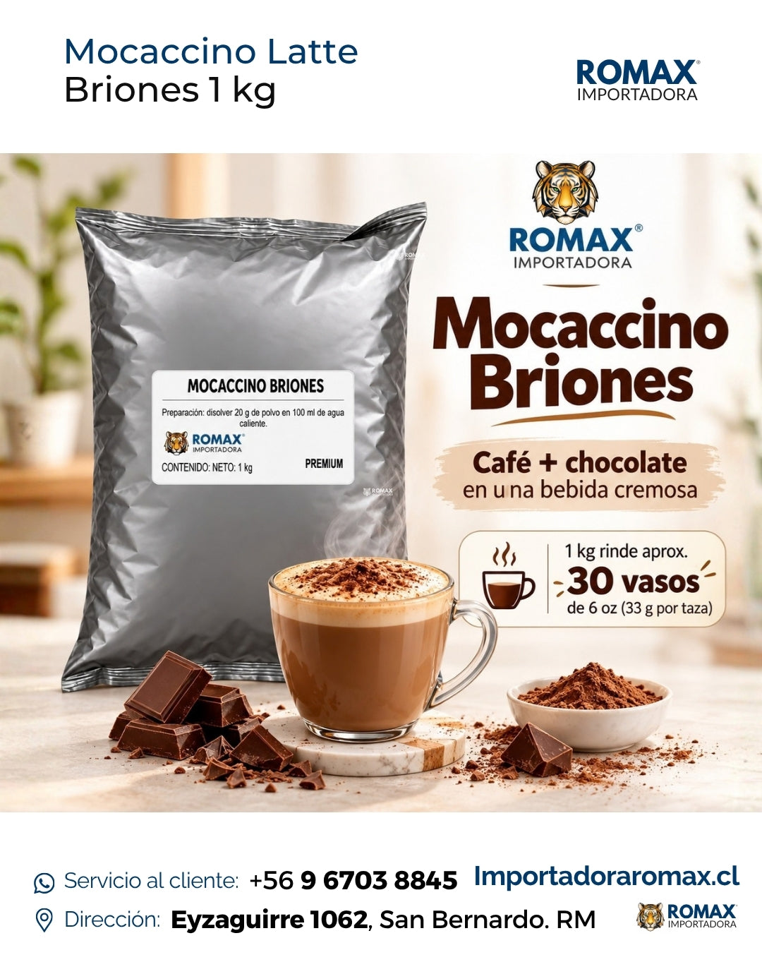 Mocaccino Briones 1 kg para vending y preparación en taza | Importadora Romax